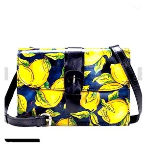 Patricis Nash Tauriana CrossBody organizer